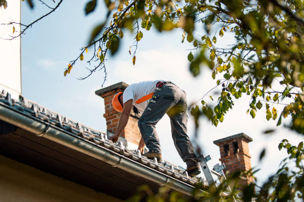 Best Emergency Roof Repair  in Kewaskum, WI